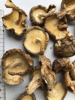 Japan Typical Delicious Raw Cultivated Dried Shiitake Mushrooms bulk snack food product