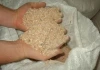 Kazahkstan Organic Natural Wheat bran