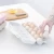 Kitchen Accessories Refrigerator Eggs Shelf Household Latticed Plastic Egg Receiving Box With Covered 5xy Ww