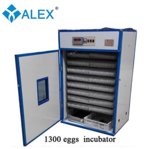 large size egg incubation hatching machine/cages laying hens within 1500-2000USD