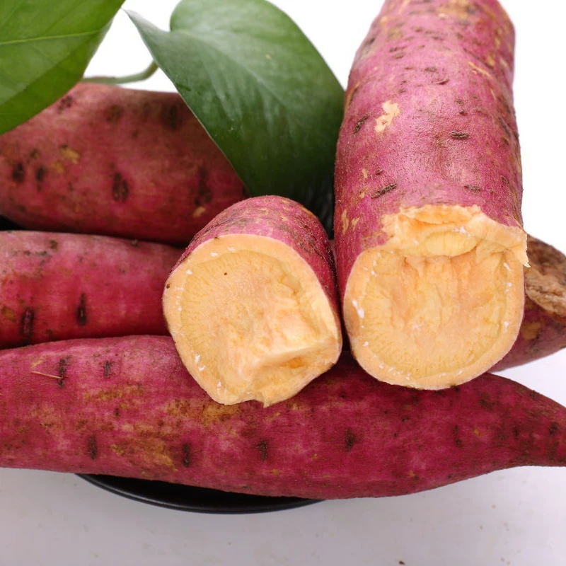 Large supply of fresh Chinese sweet potatoes packed in cartons