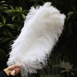 Large white carnival festival ostrich feather For Wedding and party Decoration