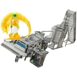 Lemon Kiwifruit Peach Washing Drying Sorting Machine Automatic Apple Juice Production Line
