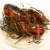 Import Live Lobster, Spiny Lobster, Frozen Lobster from United Kingdom