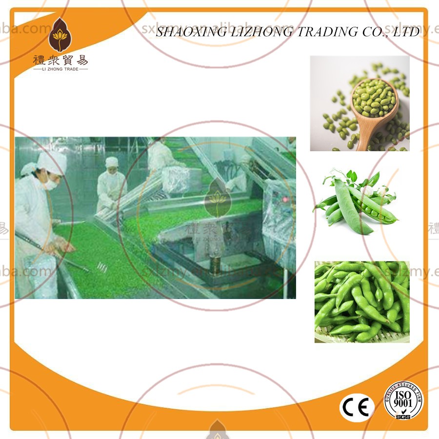 Low cost fluidized iqf freezer food processing equipment