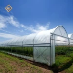 Low-cost vaulted plastic film shading single-span greenhouse
