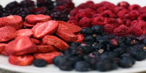 Low price Mix Berries fresh/Frozen/Dry Loose fruits