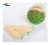 Import lowest price double pointed plastic green bottle packed buy bulk toothpick from China