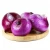 Import Lowest Price Natural Bulk Natural Fresh Red Onion Fresh Chinese from China