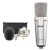 Import Manufacture large 34mm diaphragm mic professional studio recording condenser microphone for podcast broadcasting from China