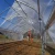 Import Manufacturer Low Cost Commercial Polycarbonate Single Span Plastic Film Greenhouse from China
