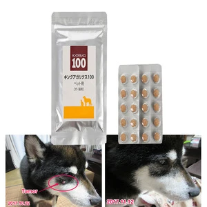 Medicinal Mushroom Dog Health Care Animal Pet Vitamin Supplement For Improving Immunity