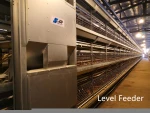 Modern farm automatic Layer Chicken cage Automatic Egg Collecting system Poultry farm New Design Breeding Cage