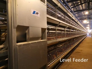 Modern farm automatic Layer Chicken cage Automatic Egg Collecting system Poultry farm New Design Breeding Cage