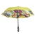 Import Most Selling Products 2021 Customize Design Windproof Advertising Inverted Umbrella from China