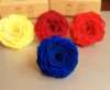 Natural Fresh Cut Flowers Wholesale Preserved Roses Christmas Promotinal Gift 9-10cm 1Pcs/Box Rose Head