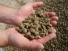 Natural Green Zeolite Rocks Zeolite Process for Water Filtration with Good Price