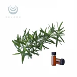 Natural plants bulk ursolic acid powder and rosemary essential oil 100% pure for food