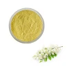 Natural Super Water Soluble 95% quercetin powder