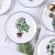 Import New design botanical dish plate ceramic cake/dessert plates from China
