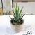 Import New design mini Artificial Succulent Plants in Mini Modern Planter Pots artificial air plants for Home Decor Indoor from China