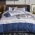 Import New style Good sleep  washing silk soft shiny bedding sheet  four piece Bedding Sets Bed Sheet from China