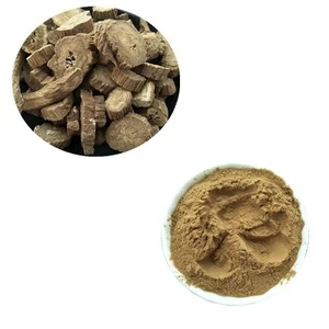 Excellent Quality Pure Natural Burdock Achene Extract, Radix Bardanae Powder