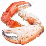 Norwegian King Crab Alaskan King Crab