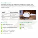 OLD COCONUT/ COCONUT DE-HUSKED/ ORGANIC FRESH MATURE COCONUT
