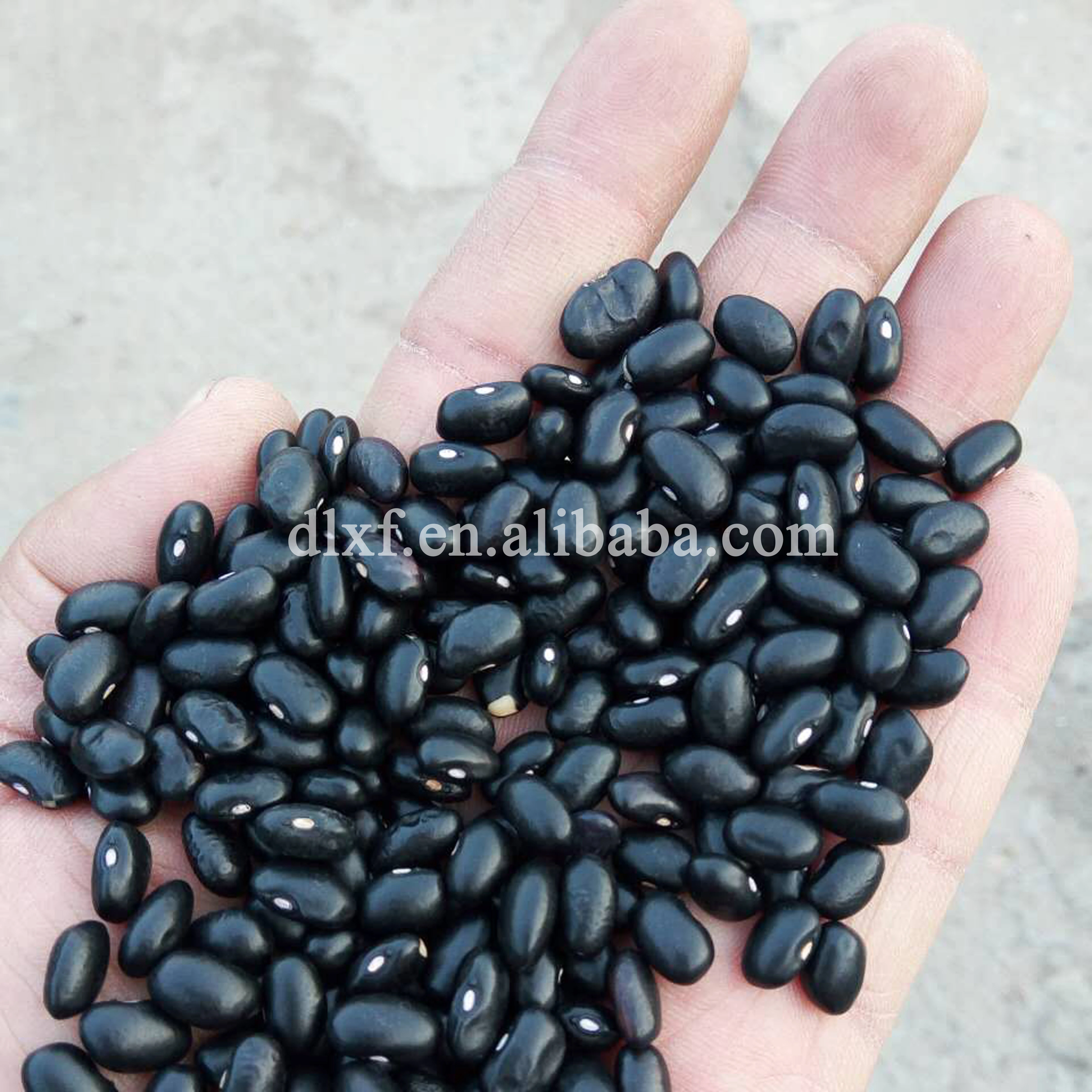 organic black kidney beans