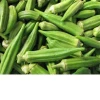 Organic Quality Fresh Okra/Frozen Green Okra/Fresh Okra for sale