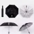 Import Ovida Fashion Design Silver Coated Fashion  Personalized Customized Gift Advertising Wine Bottle Umbrella from China