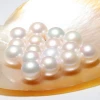 Perfect Round Loose excellent Quality White Round half hole full hole Freshwater Pearl