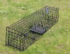 Pest Contral Duble-door Squirrel Raccoon Trap For Sale 28*6*6 two entry