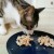 Import Pet Food Cat Dog Snack Tease Pet Training Pet Cooked Duck Breast from China
