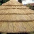 Import Plastic Synthetic Thatch Roofing Bali Hut Synthetic Building Materials from China