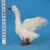 Import plush animal unstuffed greylag goose decoy from China