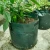 Import Potato Grow Bag PE Vegetable Onion Plant Bag with Handle Thickened Garden Carrot Taro Peanut Backyard Growing Bag from China