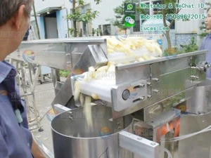 Potato vegetable washing and cutting line