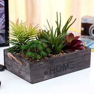 Potted Artificial Succulent Plants in Rustic Wooden &#39;Home&#39; Planter Box with Rope Handles