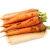 Import Premium Fresh Lowest Price Fresh Viet Organic Fresh Carrot from China