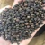 Import Processing Type and 2 Years Shelf Life black pepper 550gl/ 500gl -WA: 0084905209103 from Vietnam