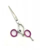 Professional hair cutting scissors