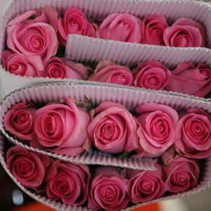 professional wholesale variety cut fresh flower fresh roses from Kunming China