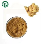Pure Natural Ginger Root Extract 1% 5%  10% Gingerols By HPLC