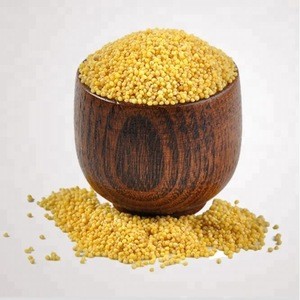 Quality Organic Millet Available