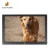 Import Raypodo remote control 7&quot; 8&quot; 10&quot; 12&quot; 13&quot; 15&quot; 17 inch digital photo frame with wall mount from China