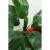 Import Real Touch Faux Artificial Plants Banana Leaf from China