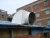 Import roof mounted industrial exhaust fan/ventilation fan from China
