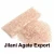 Import Rose Quartz Chips Stones : Agate Chips High Quality from India